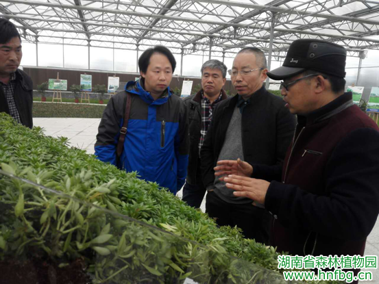 AG旗舰厅(中国游)官方网站