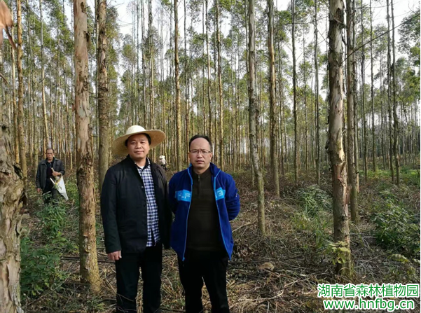 AG旗舰厅(中国游)官方网站