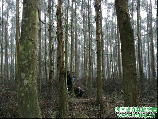 AG旗舰厅(中国游)官方网站