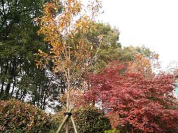 AG旗舰厅(中国游)官方网站