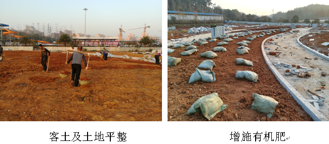 AG旗舰厅(中国游)官方网站