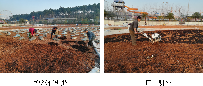 AG旗舰厅(中国游)官方网站