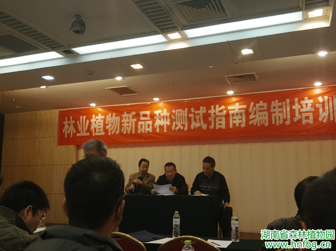 AG旗舰厅(中国游)官方网站