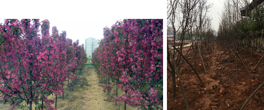 AG旗舰厅(中国游)官方网站